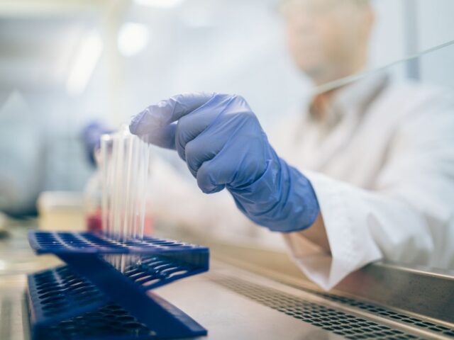 Laboratory quality testing with gloved hands